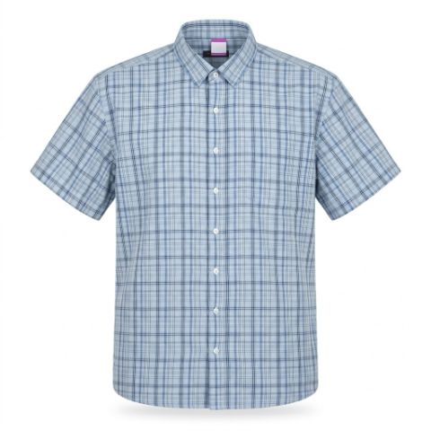 Camisa de Vestir Mangas Cortas Denver Hayes